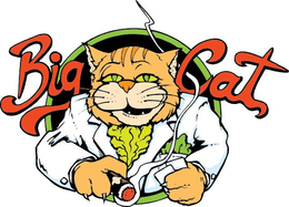 BIG CAT trademark