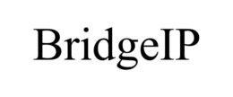 BRIDGEIP trademark