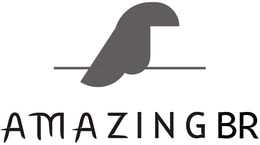 AMAZING BR trademark