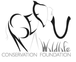 NSEFU WILDLIFE CONSERVATION FOUNDATION trademark