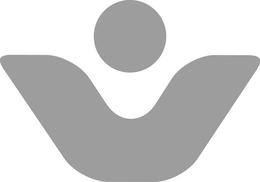 V trademark