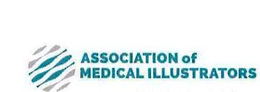 ASSOCIATION OF MEDICAL ILLUSTRATORS trademark