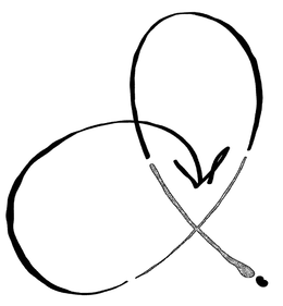 P trademark