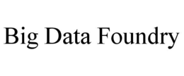 BIG DATA FOUNDRY trademark
