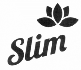 SLIM trademark