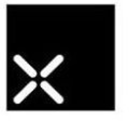 X trademark