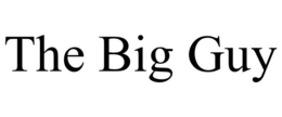THE BIG GUY trademark