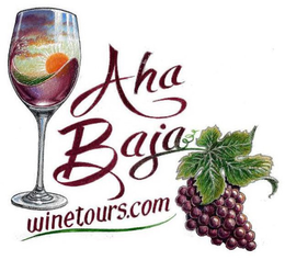 AHA BAJA WINETOURS.COM trademark