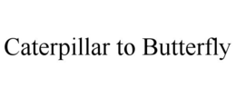 CATERPILLAR TO BUTTERFLY trademark