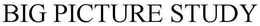 BIG PICTURE STUDY trademark