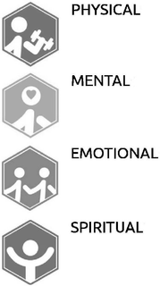 PHYSICAL MENTAL EMOTIONAL SPIRITUAL trademark