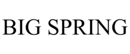 BIG SPRING trademark