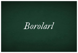 BOROLARL trademark