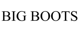 BIG BOOTS trademark