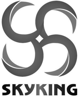SKYKING trademark