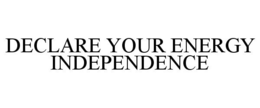 DECLARE YOUR ENERGY INDEPENDENCE trademark
