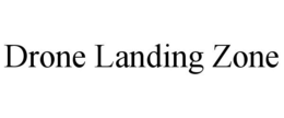 DRONE LANDING ZONE trademark