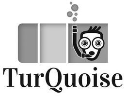 TURQUOISE trademark