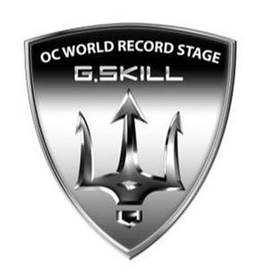 OC WORLD RECORD STAGE G.SKILL trademark