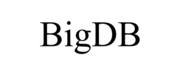 BIGDB trademark