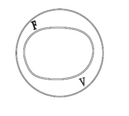 F V trademark