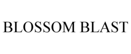 BLOSSOM BLAST trademark