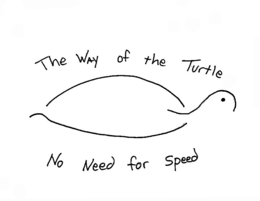 THE WAY OF THE TURTLE NO NEED FOR SPEED trademark