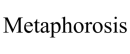 METAPHOROSIS trademark