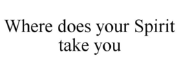 WHERE DOES YOUR SPIRIT TAKE YOU trademark