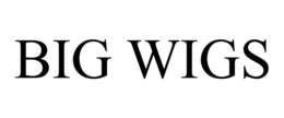 BIG WIGS trademark