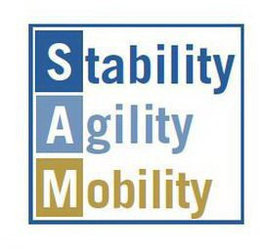 STABILITY AGILITY MOBILITY trademark