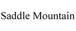SADDLE MOUNTAIN trademark