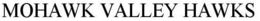 MOHAWK VALLEY HAWKS trademark