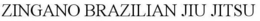ZINGANO BRAZILIAN JIU JITSU trademark
