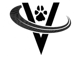 V trademark