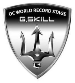 OC WORLD RECORD STAGE G.SKILL trademark