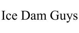 ICE DAM GUYS trademark