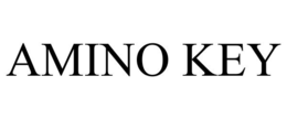 AMINO KEY trademark