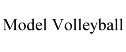 MODEL VOLLEYBALL trademark