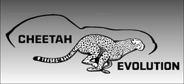 CHEETAH EVOLUTION trademark