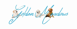 GOLDEN MEADOWS trademark