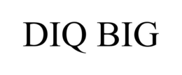 DIQ BIG trademark