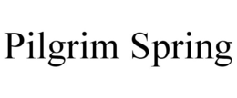PILGRIM SPRING trademark