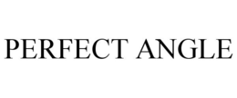PERFECT ANGLE trademark