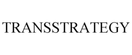 TRANSSTRATEGY trademark