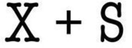 X + S trademark