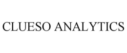 CLUESO ANALYTICS trademark