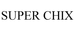 SUPER CHIX trademark