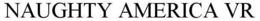 NAUGHTY AMERICA VR trademark