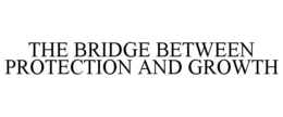 THE BRIDGE BETWEEN PROTECTION AND GROWTH trademark